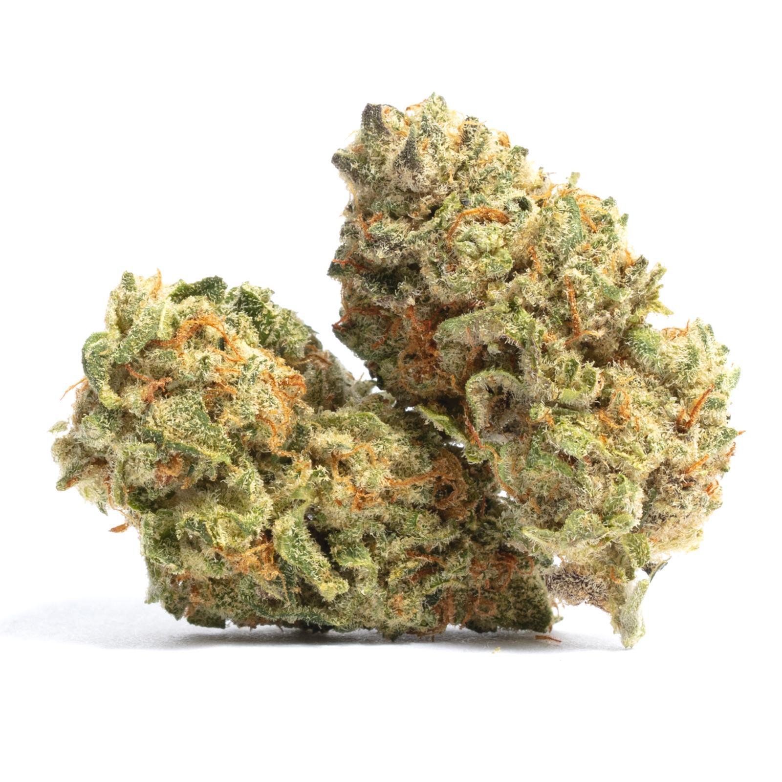 Bud Image 4